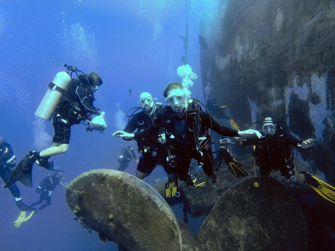 Nemo Dive Center-拉纳加必去景点