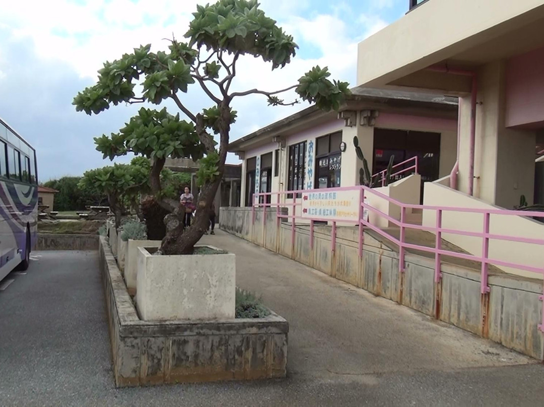 Miyakojima Sea Treasure Museum-宫古岛市必去景点