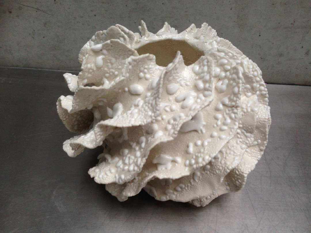 Silky Shapes Studio景点图片