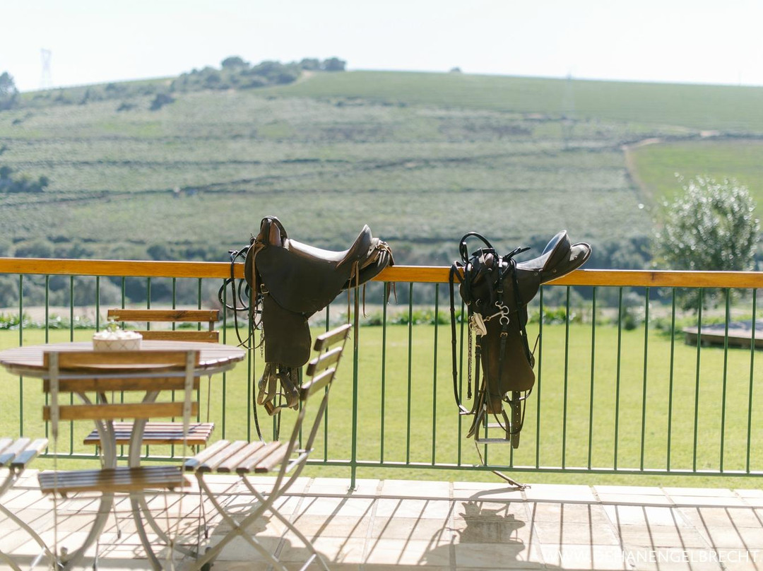 惠灵顿旅游景点-Imbuko Wine Cellar