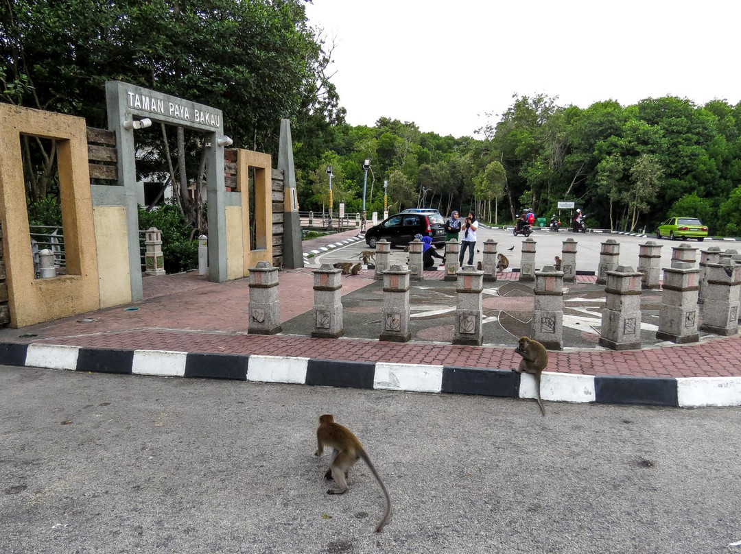 Mangrove Swamp Park-红土坎必去景点