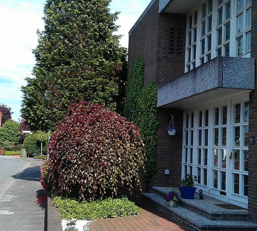 Bed & Cloppenburg主图