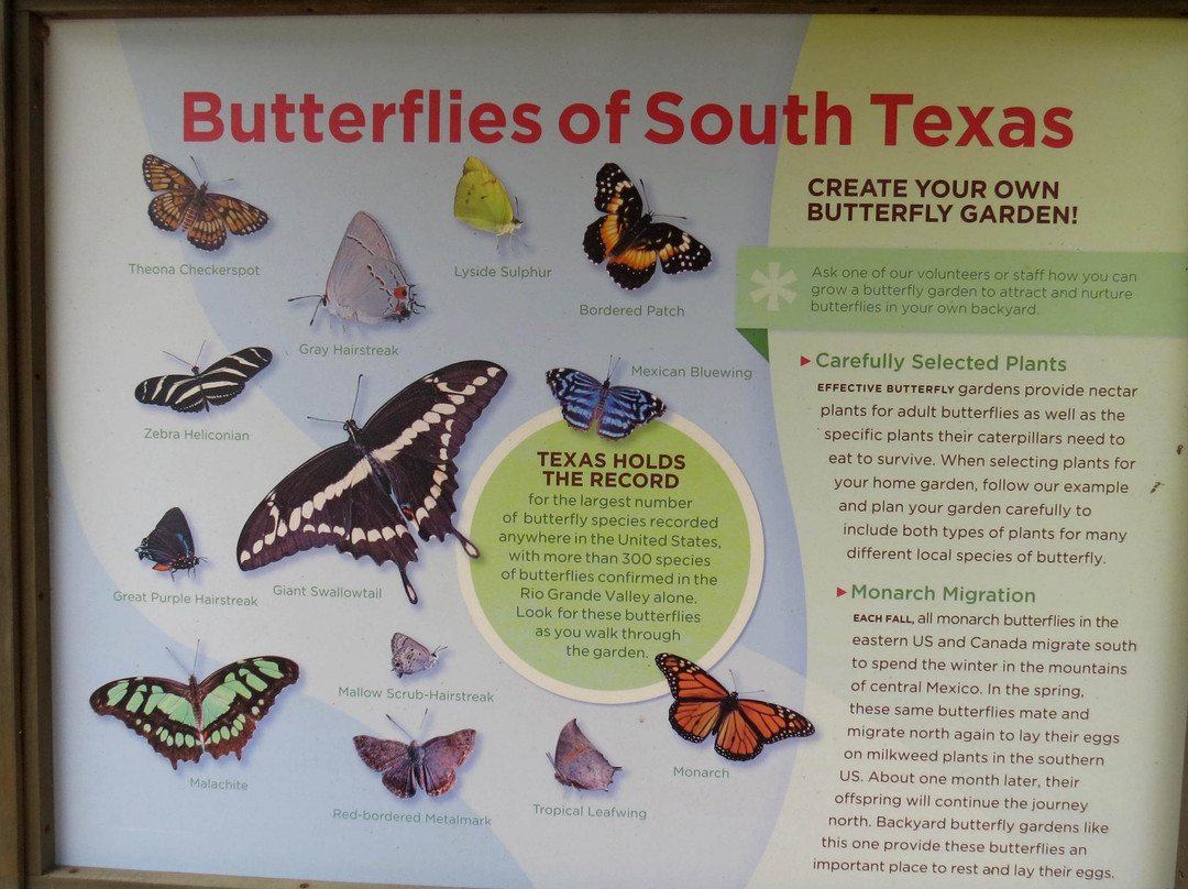 Falcon State Park-Roma必去景点