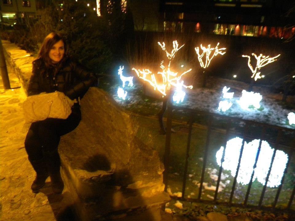 Hotel Santa Barbara de la Vall d'Ordino-客卧
