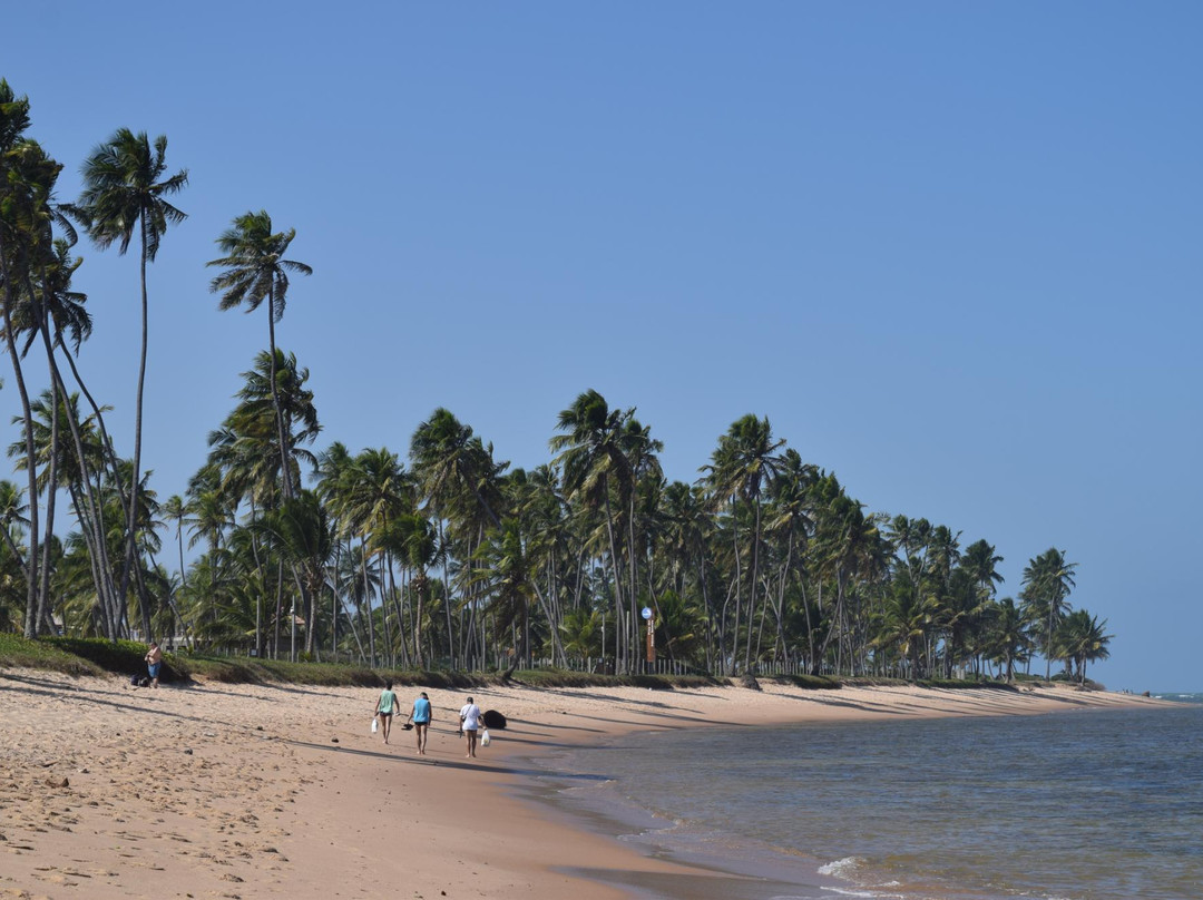 Praia do Lord景点图片