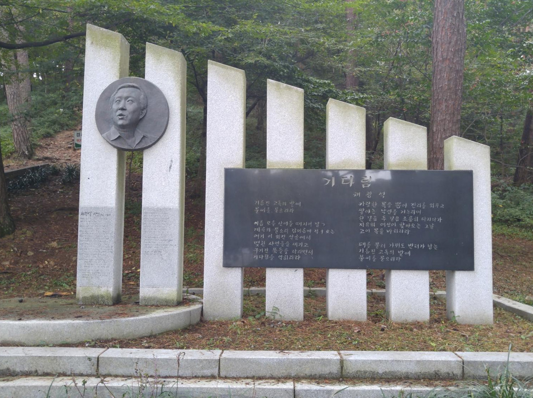 Anmyeondo Island Recreational Forest-泰安郡必去景点