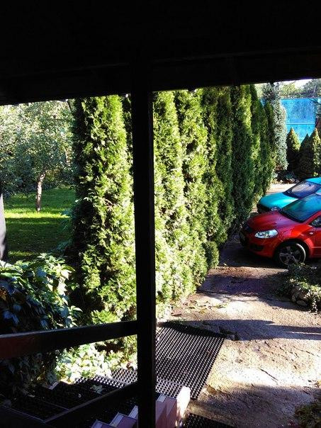 Gosciniec Exclusive主图