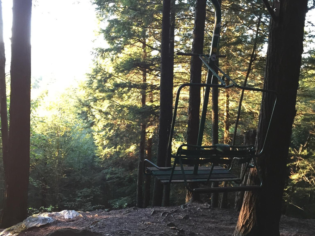 Cady Hill Forest-斯托必去景点