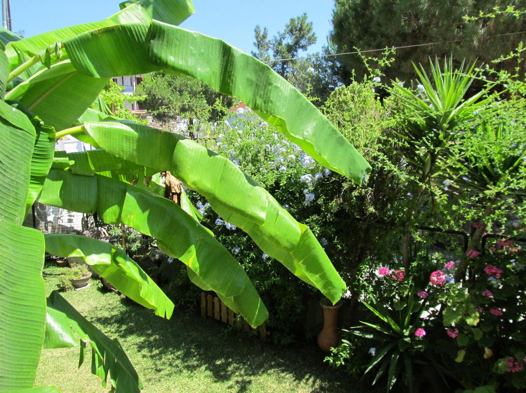 Tsamakdas House主图