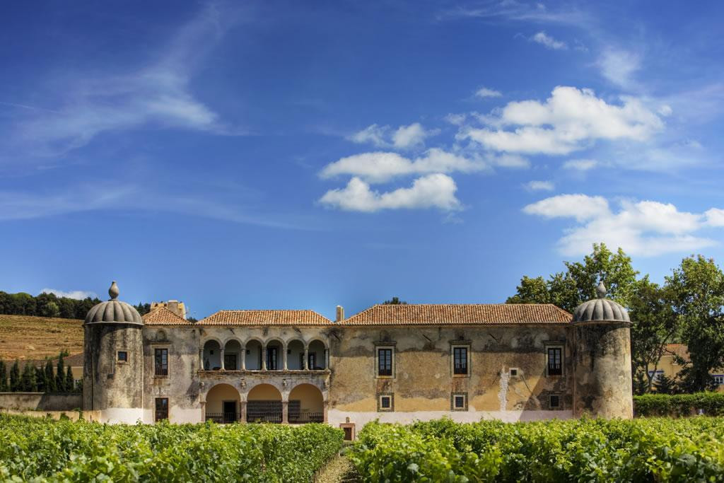 Ecozezere - Vineyard Tours景点图片