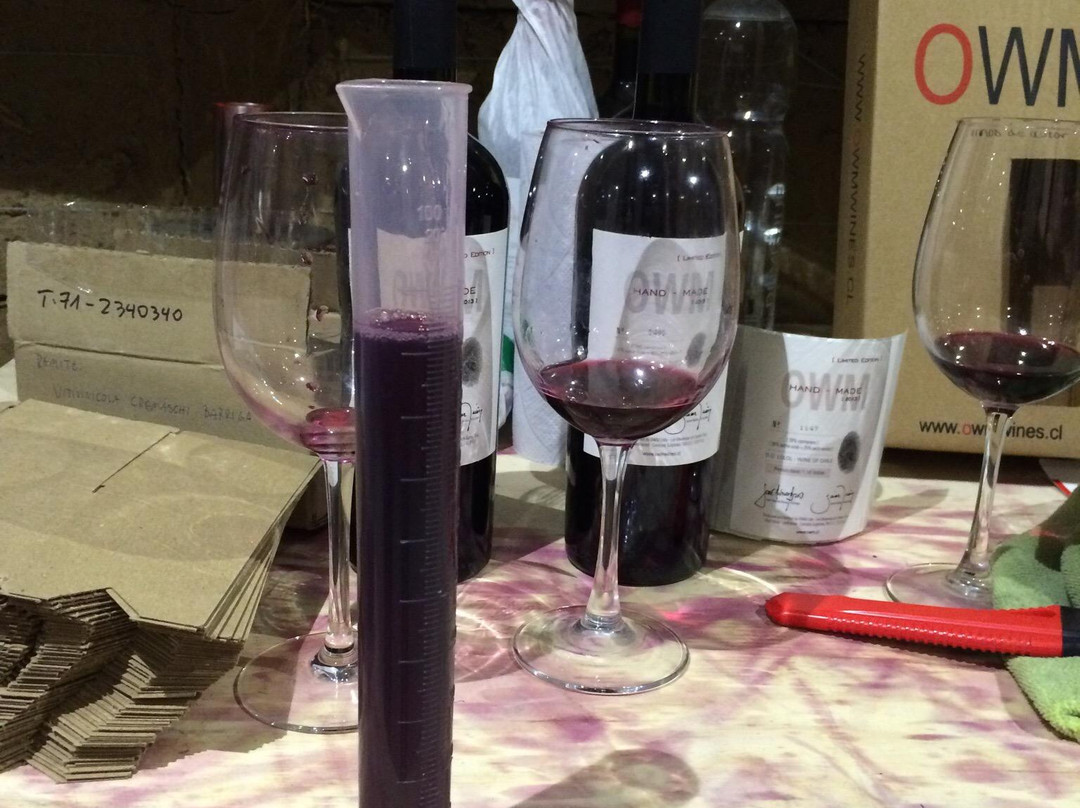 OWM-圣克鲁斯必去景点