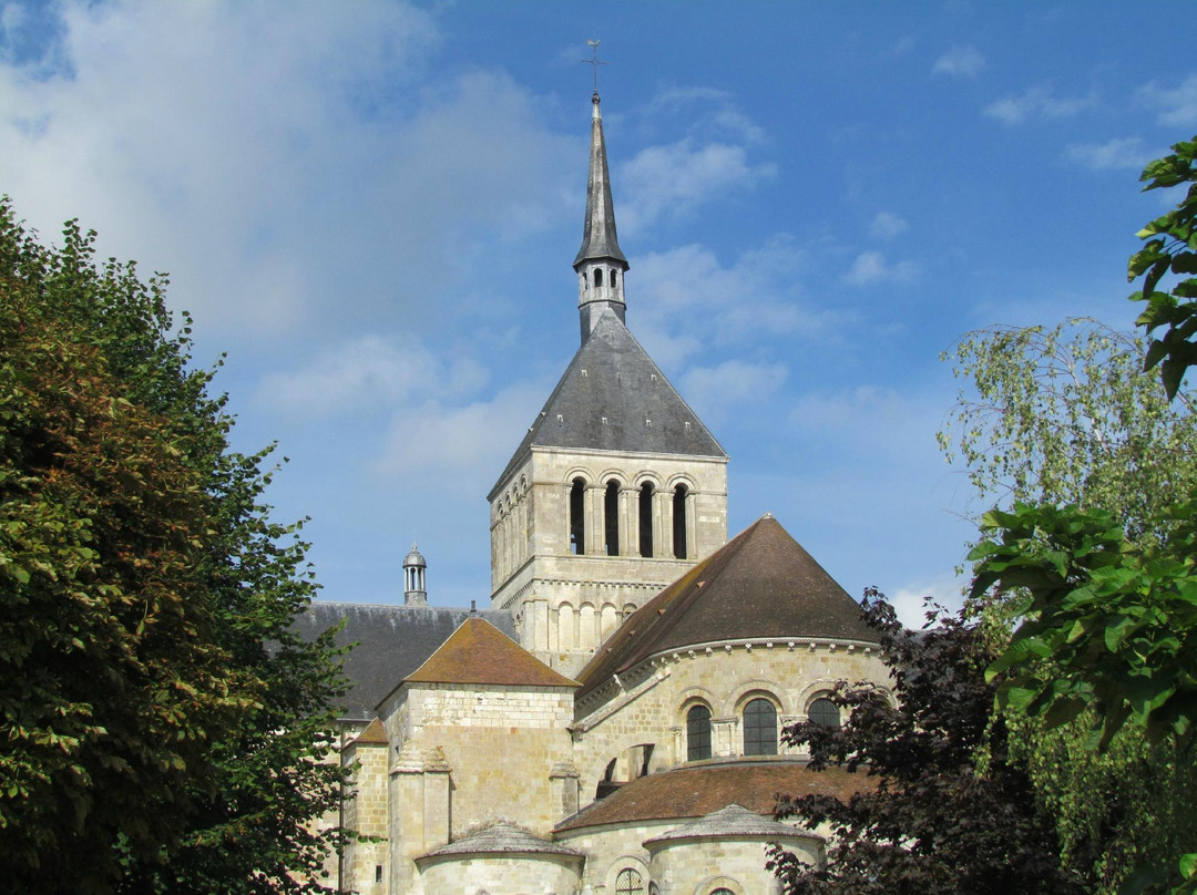 Saint-Pere-sur-Loire旅游攻略图片