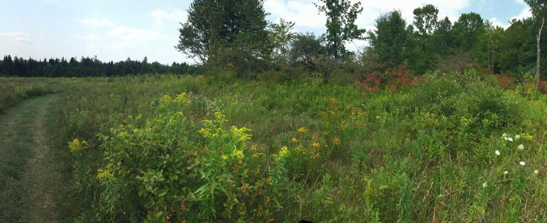 Upper Credit Conservation Area-Alton必去景点