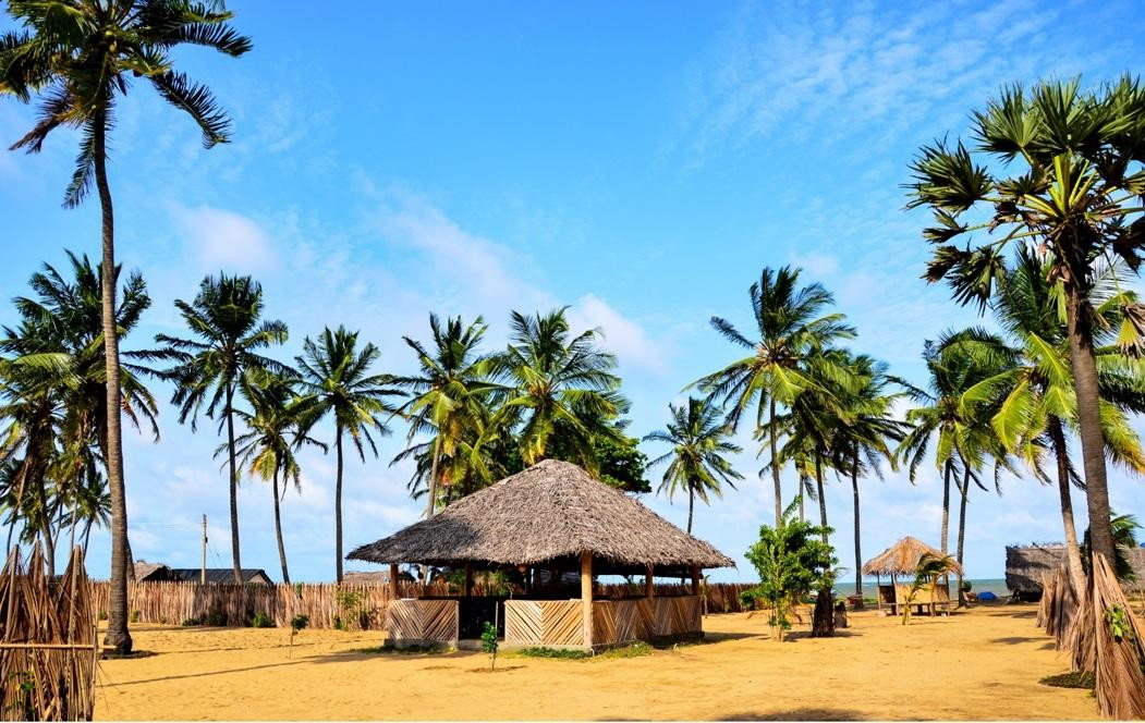 Dolphin Village主图