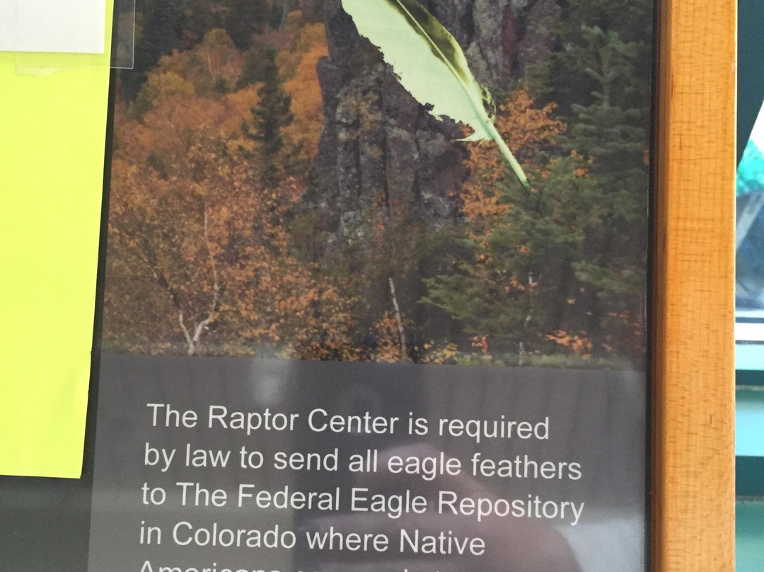 The Raptor Center-圣保罗必去景点