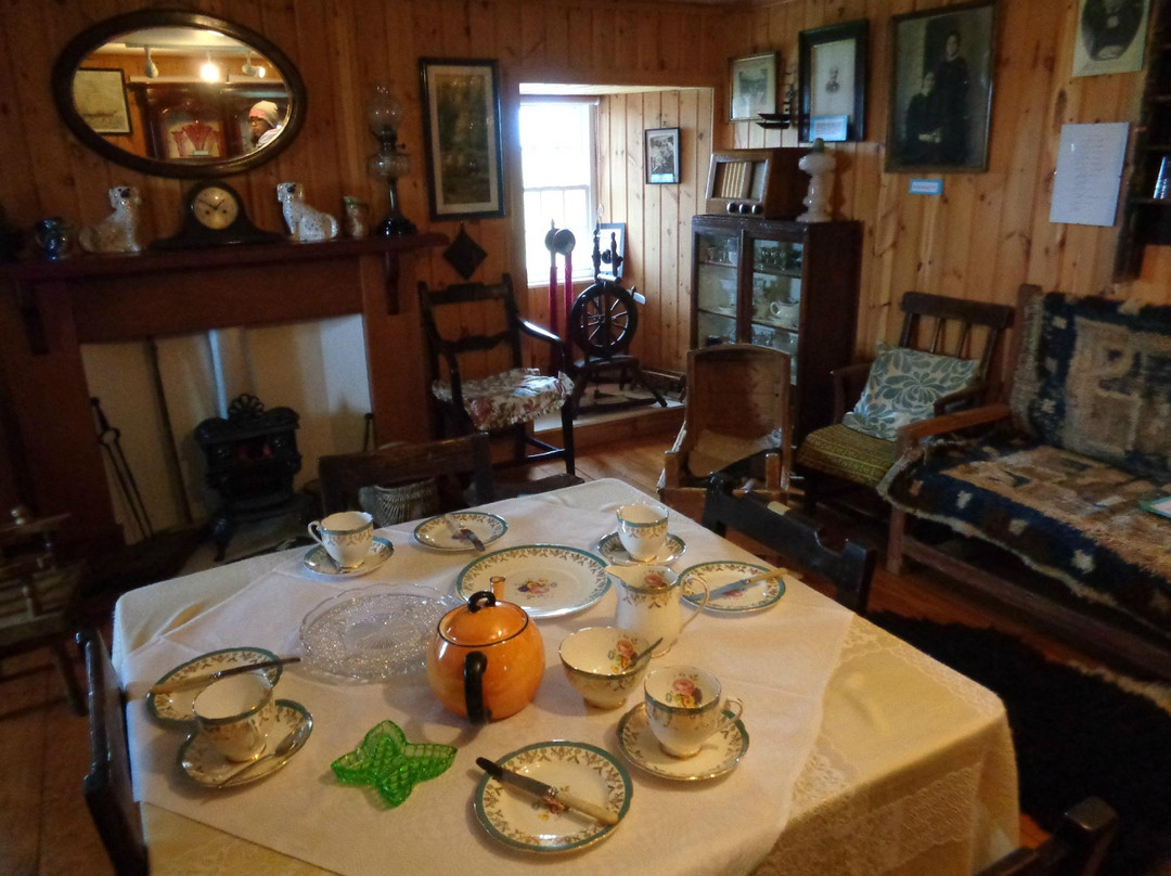 Tangwick Haa Museum景点图片