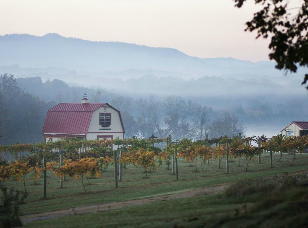 Blue Goose Farm and Vineyards景点图片
