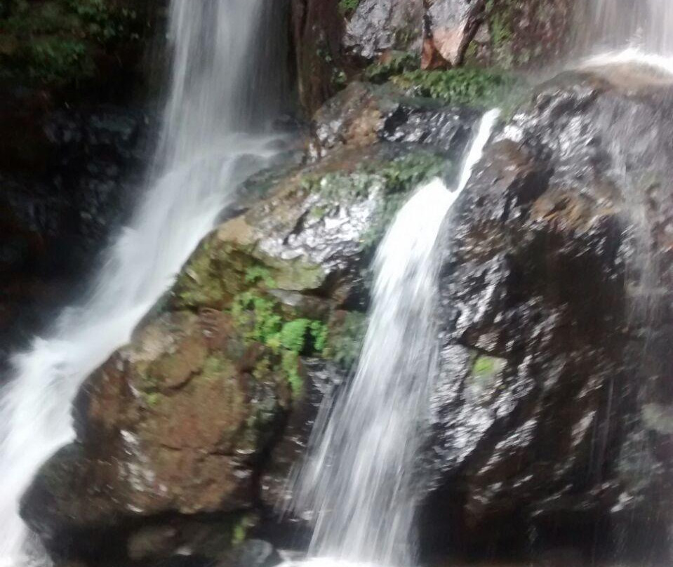 Yayas Falls景点图片