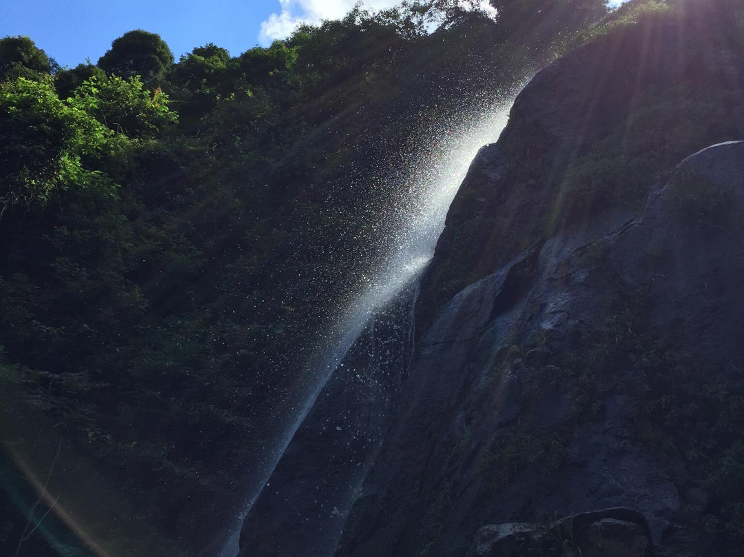 神农谷国家森林公园-炎陵县必去景点