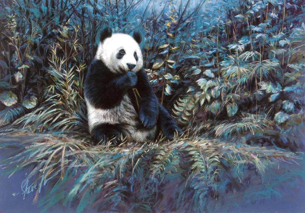 Steve Morvell Wildlife Art-贺思盖必去景点