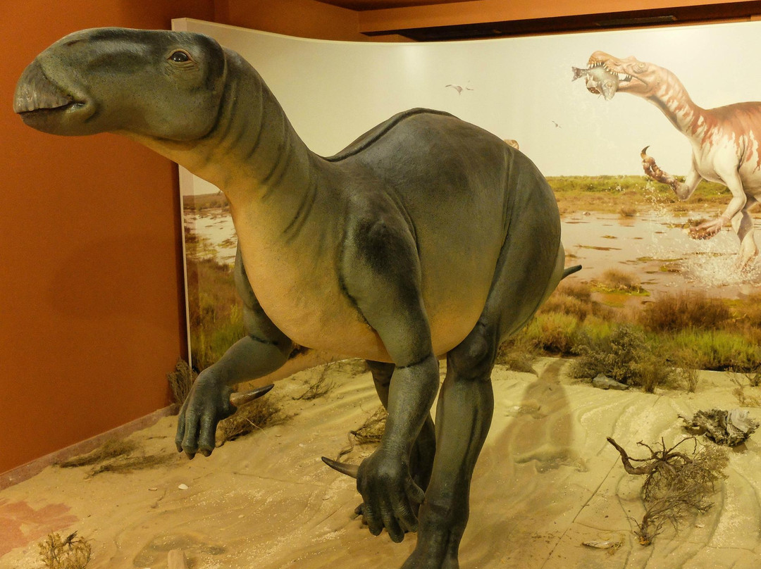 Centro de Interpretacion Paleontologica de La Rioja景点图片