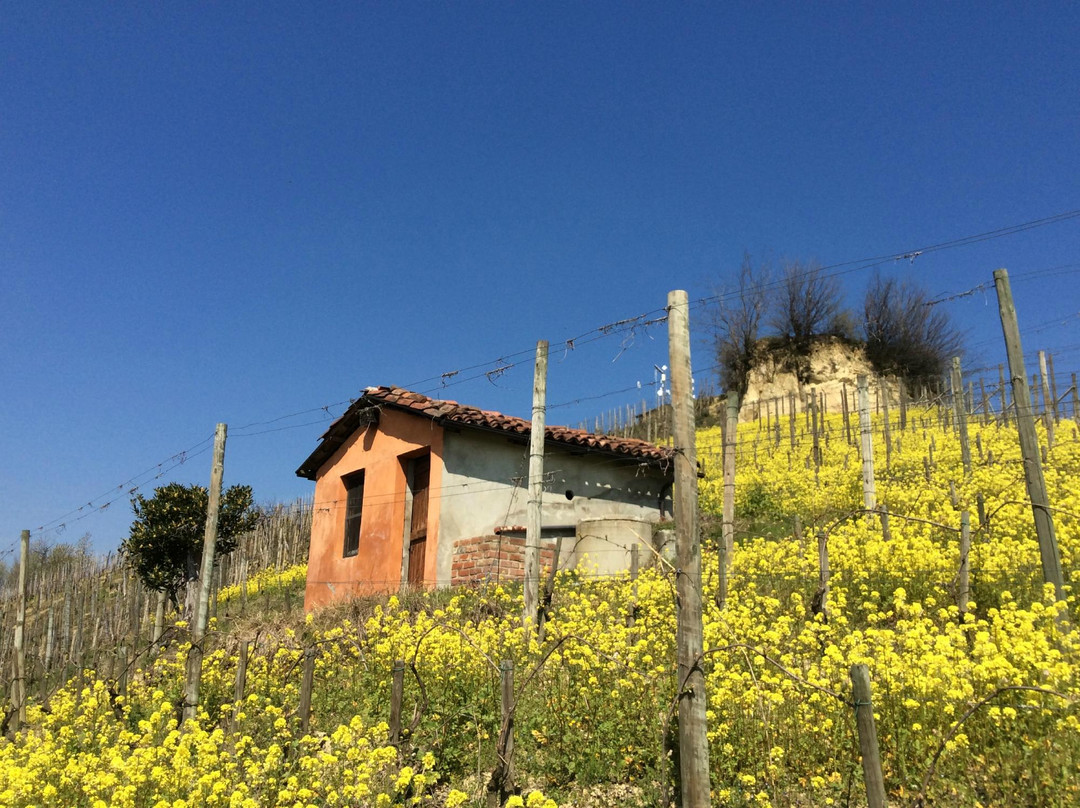 Azienda Agricola Cascina Ca' Rossa景点图片
