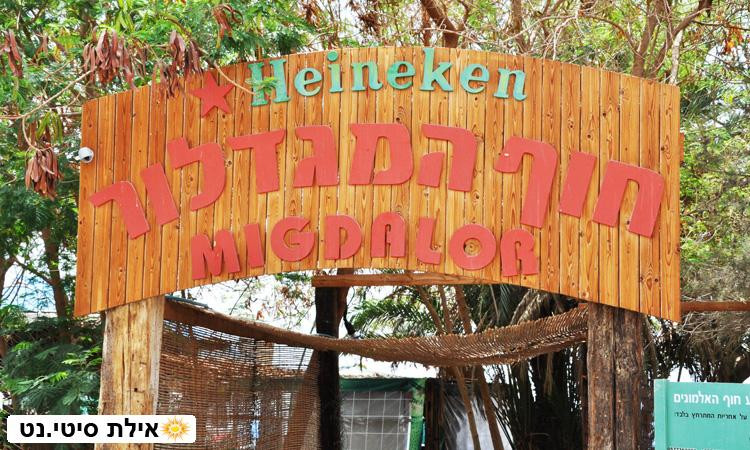 Migdalor Beach-埃拉特必去景点