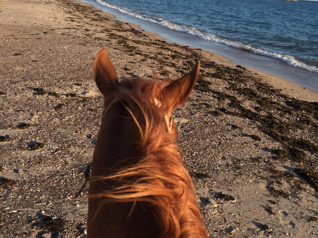 El Rancho del Desierto-圣卡洛斯必去景点