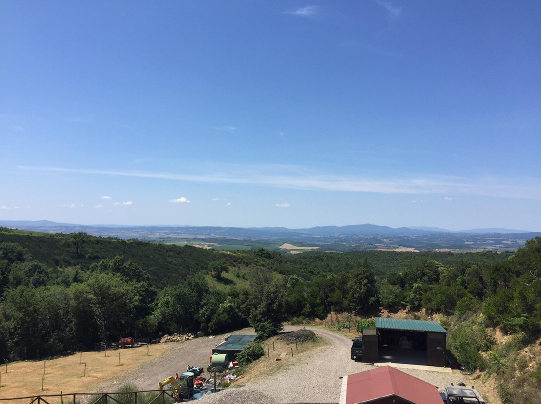 Cortona Wine Tours-Camucia必去景点