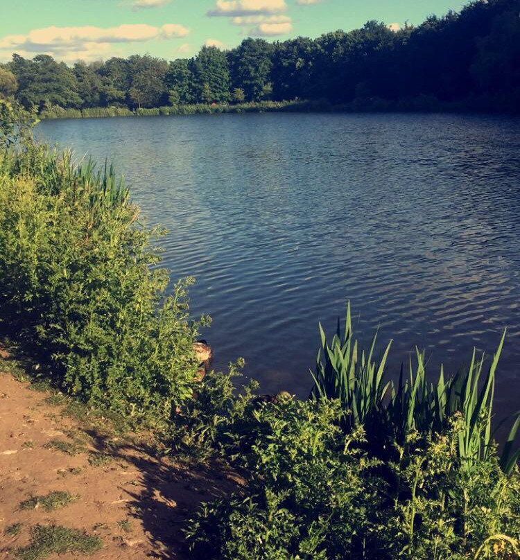 Cwmbran Boating Lake-Cwmbran必去景点
