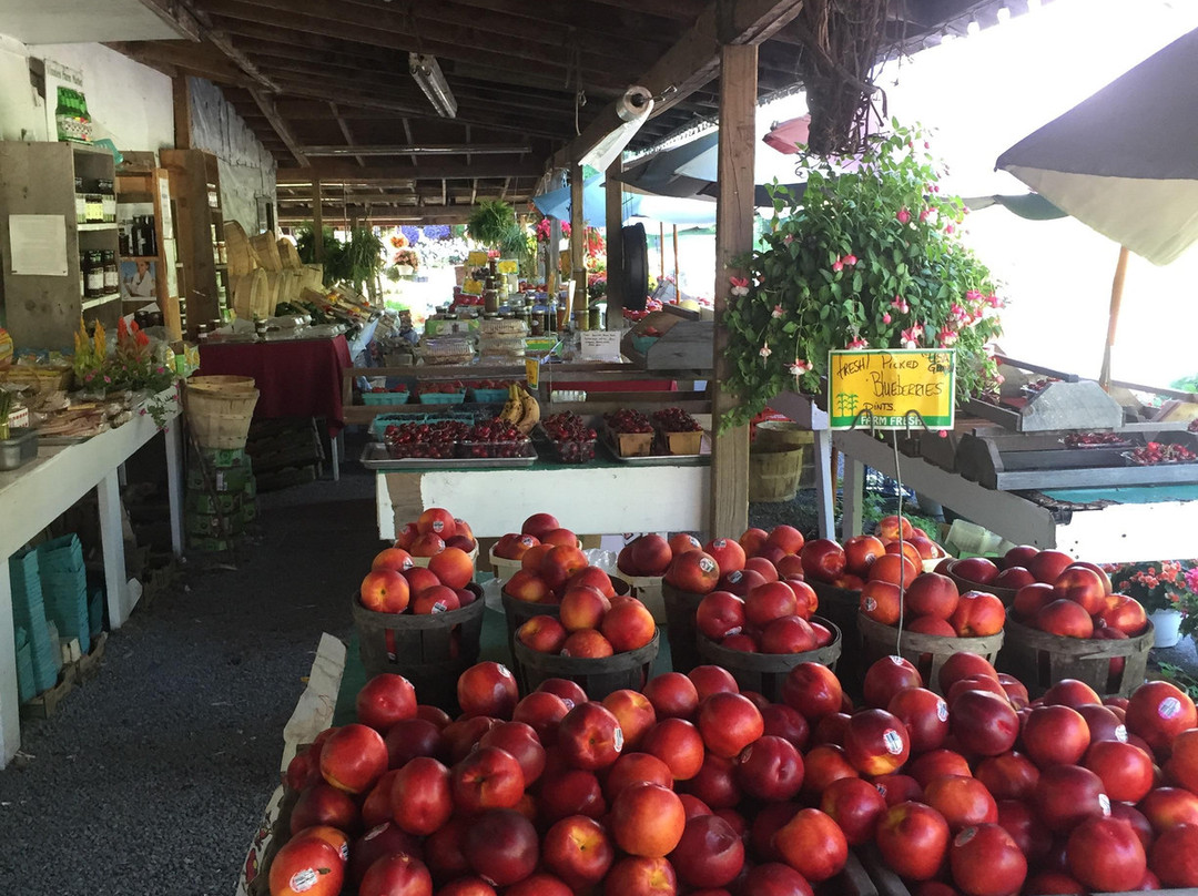 Vinnie's Farm Market-Saugerties必去景点