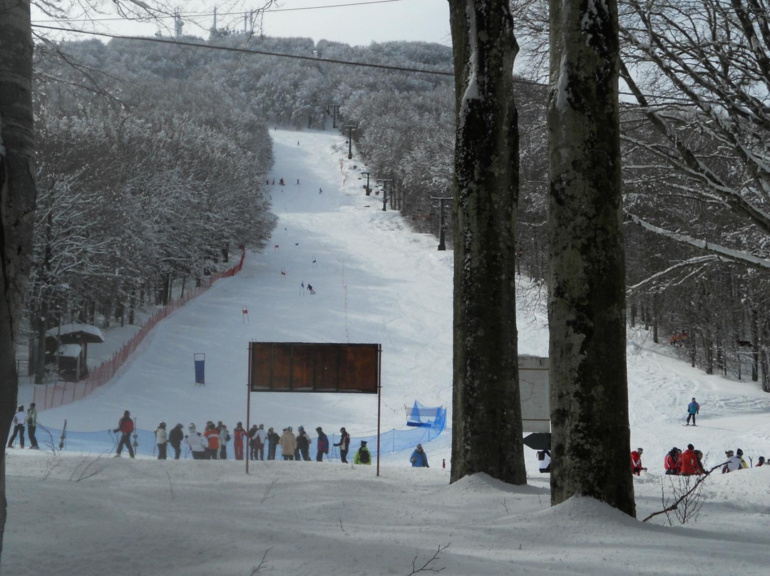 Vivo d'Orcia酒店住宿-Albergo Generale Cantore