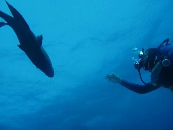 Embah Safari Tours & Travel-达哈卜必去景点