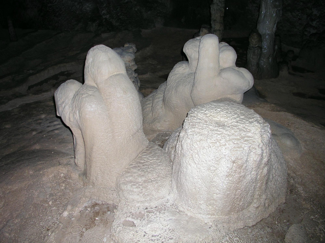 Cerovac Caves景点图片