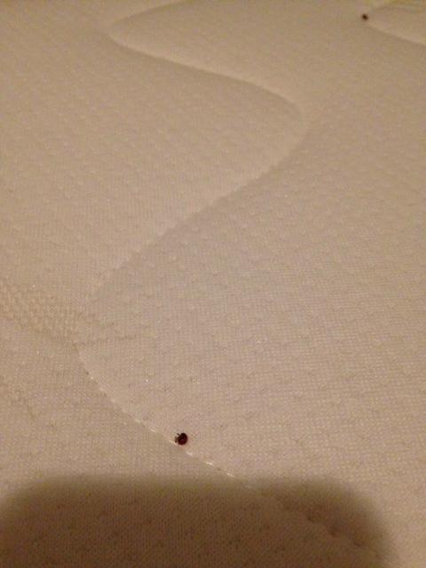 Zur Goldenen Krone Hotel-客卧