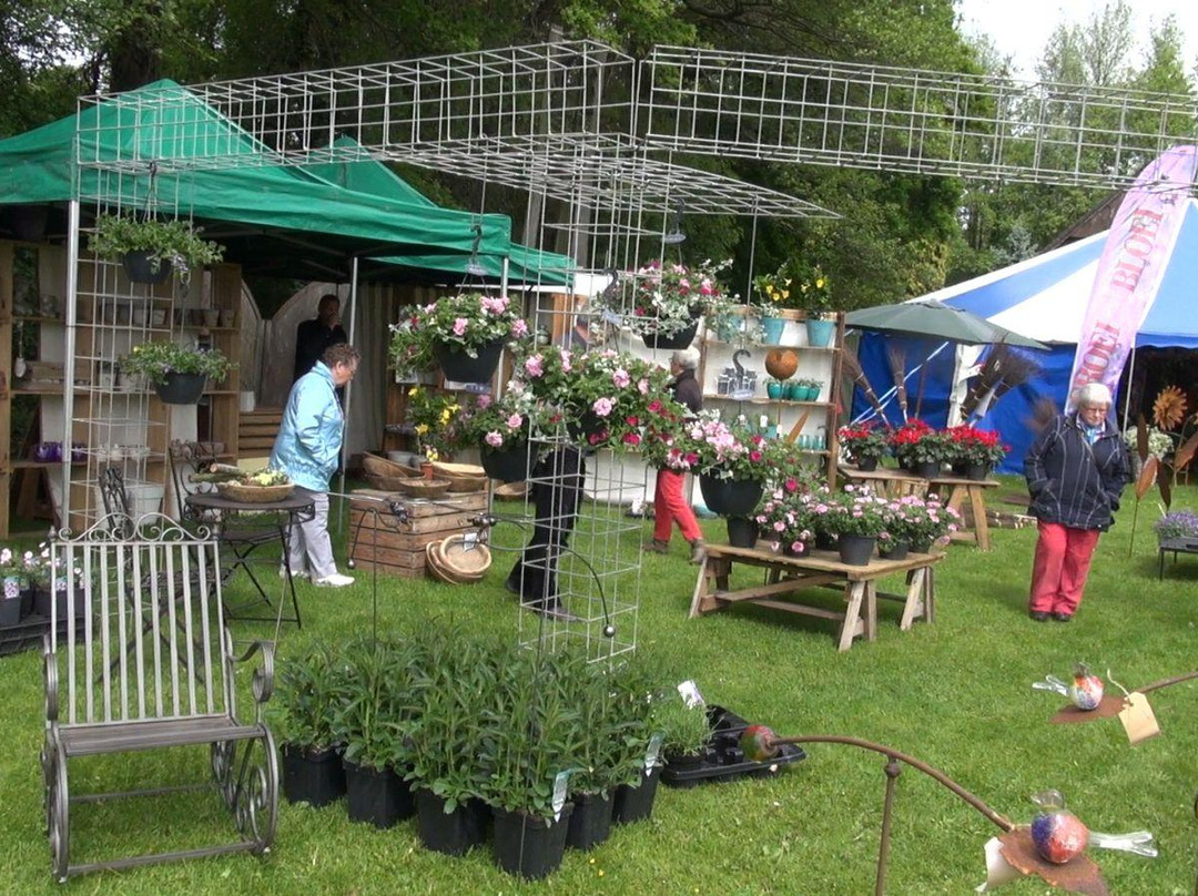 Kaasboerderij Weenink景点图片