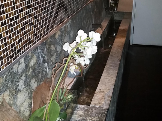 mySpa-迈阿密必去景点