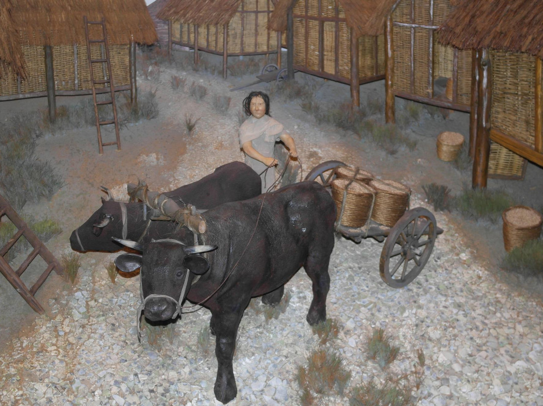 The Museum of the Iron Age-Andover必去景点