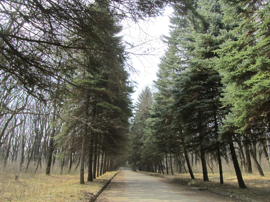 Park Pobedy (Angliyskiy Park)-Essentuki必去景点