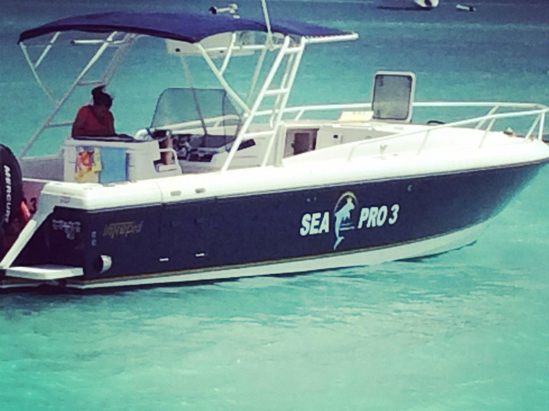 Sea Pro Charters-Sandy Ground必去景点