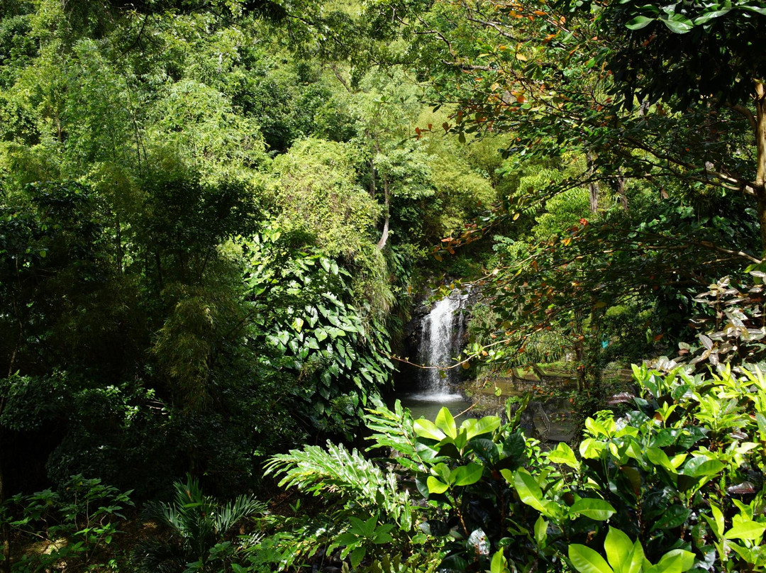 Adventure Tours Grenada - Caribbean-St. George's必去景点