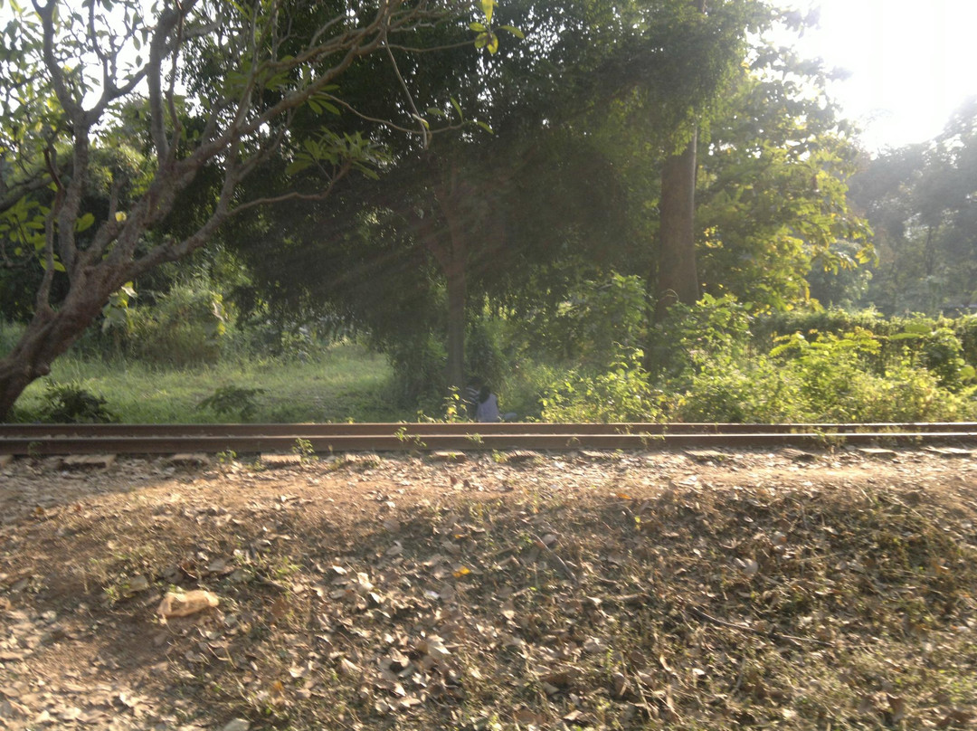 Indira Gandhi Park景点图片
