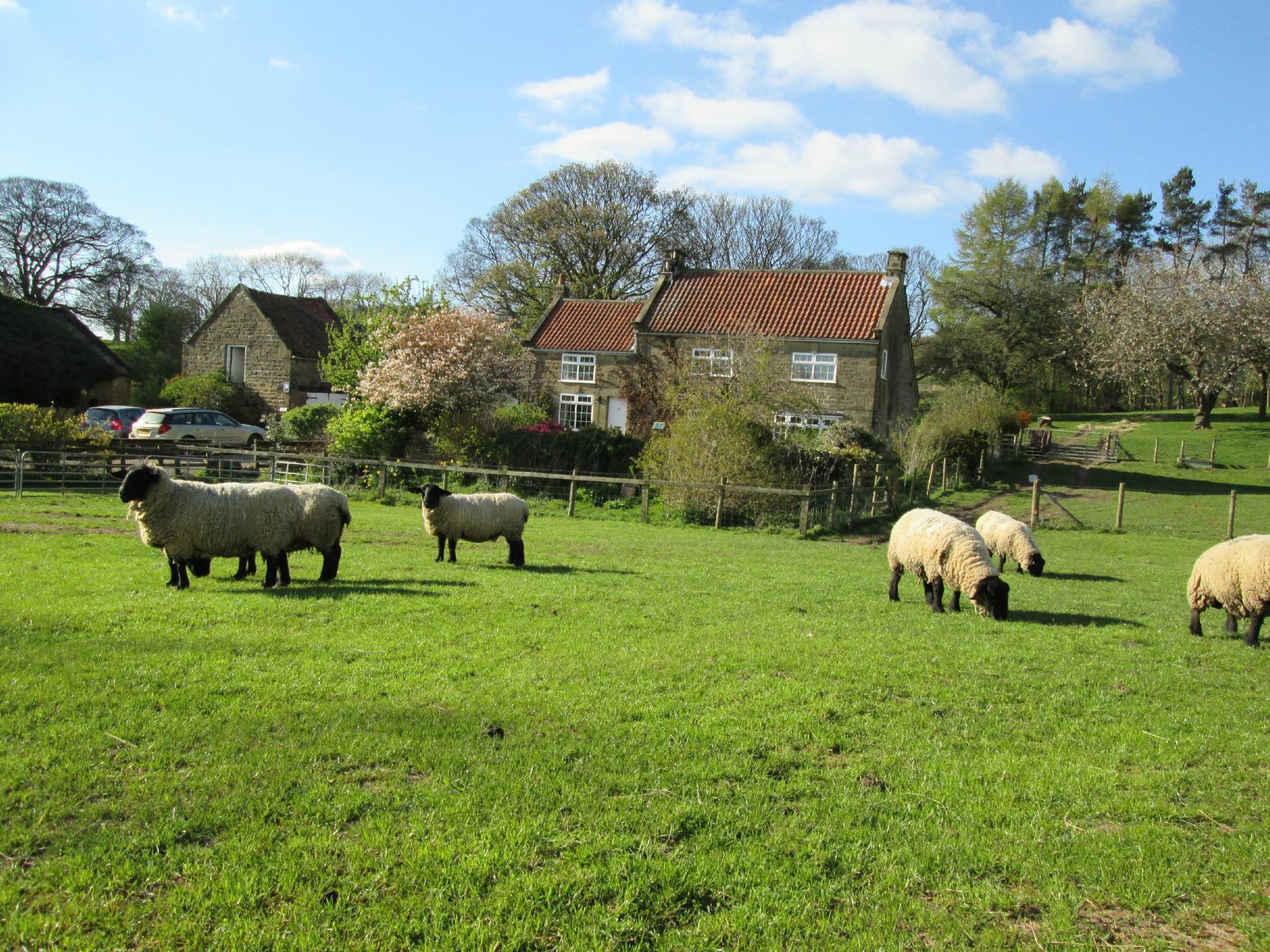 Greystone Farm Bed and Breakfast-客卧