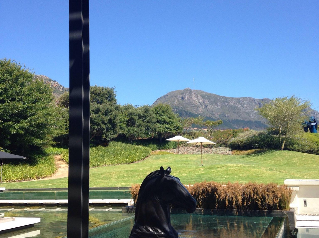 Steenberg Vineyards-康士坦提亚必去景点