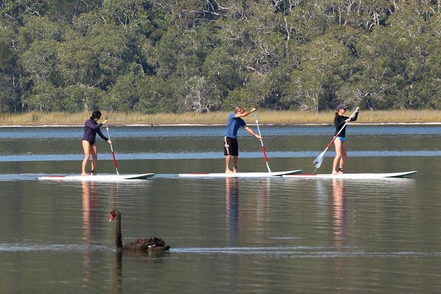 Pacific Palms SUP-Smiths Lake必去景点