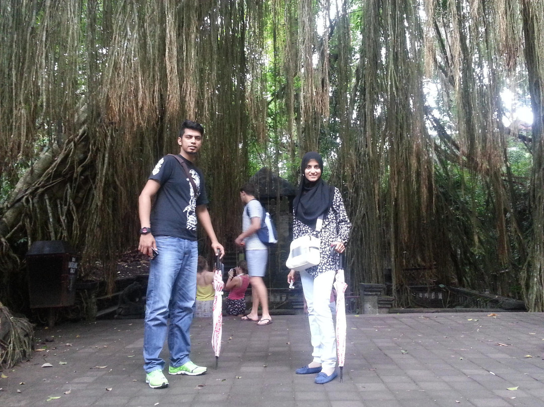 Bali Vacation Driver - Day Tours-登巴萨必去景点