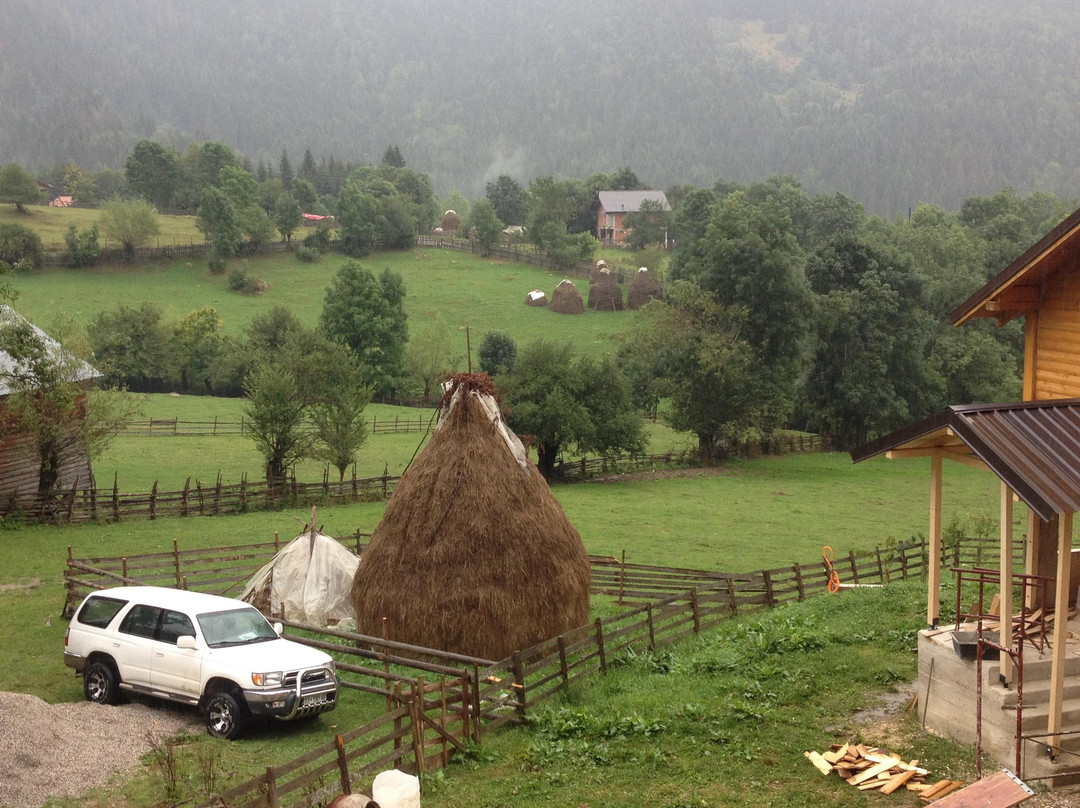 Ariu Guesthouse