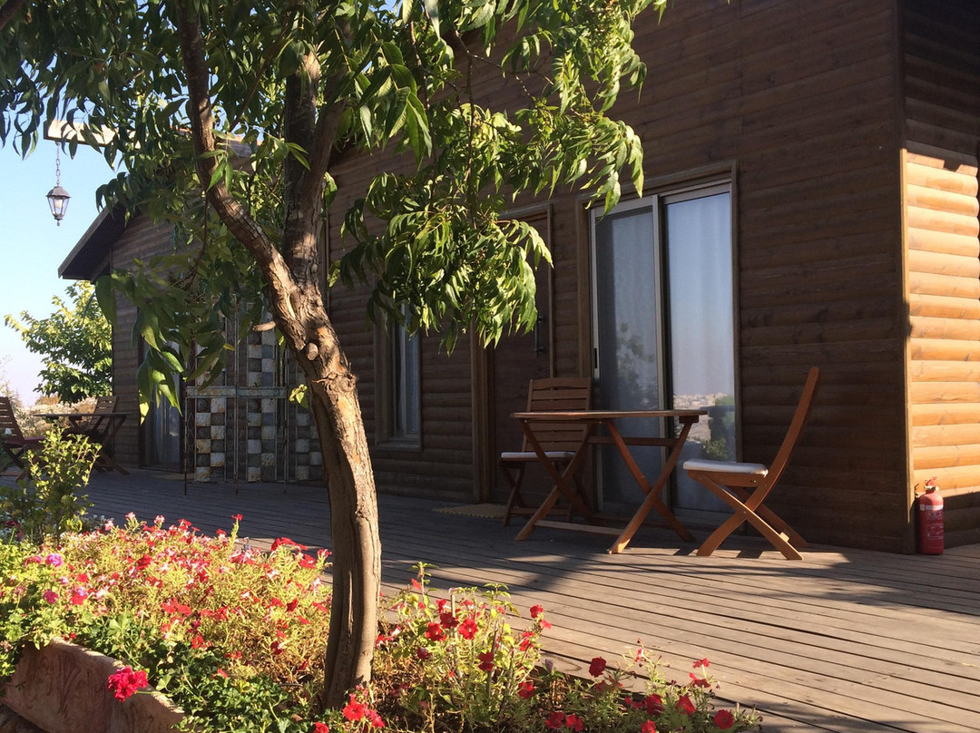 Jerusalem Of Gold Zimer主图