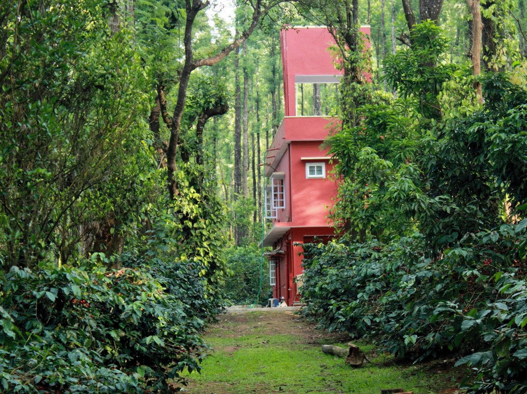 Somvarpet酒店住宿-Saphali Estate Homestay