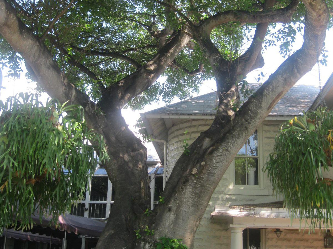 Riverwalk Fort Lauderdale-劳德代尔堡必去景点